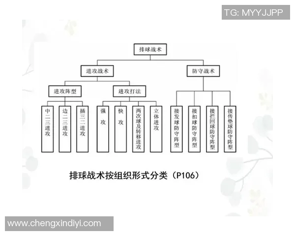 重庆排球队反击战术解析：深度剖析排球竞技背后的秘密与策略